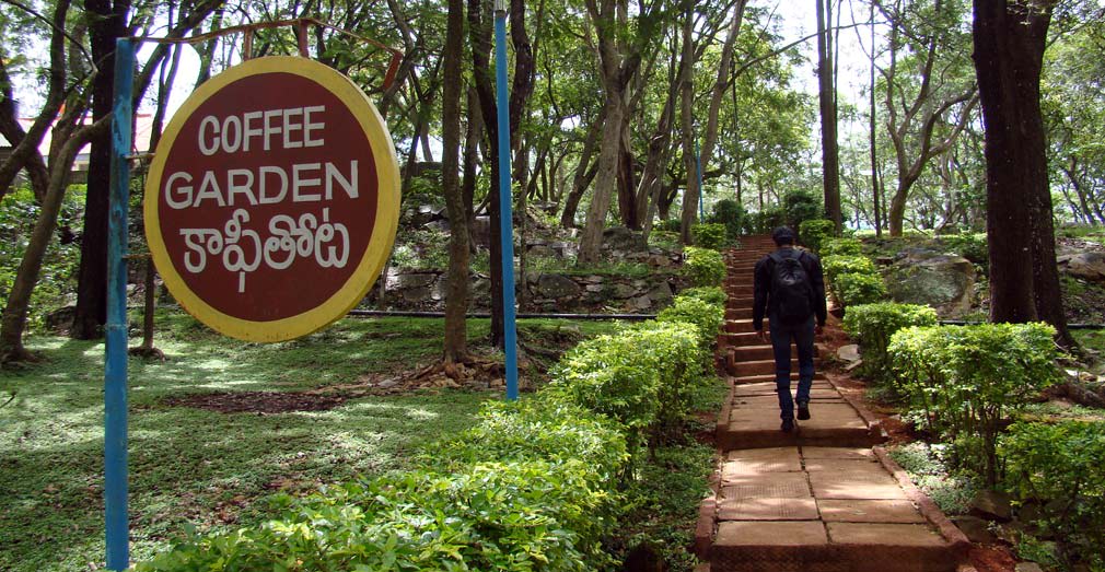 Horsley_Hills_Coffee_Garden